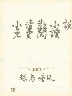 小清欢小说全文免费阅读封面