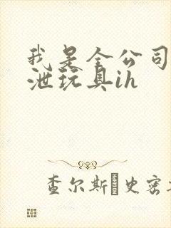 我是全公司的发泄玩具ih