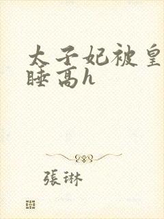 太子妃被皇上强睡高h