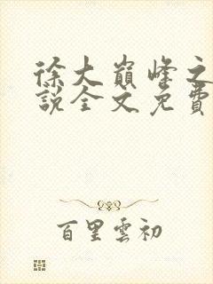 徐大巅峰之路小说全文免费阅读封面