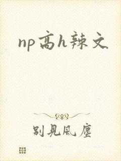 np高h辣文