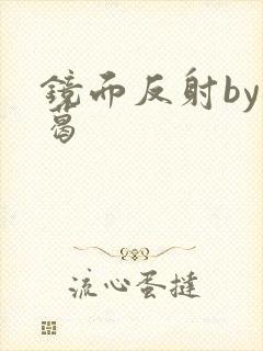 镜面反射by九葛