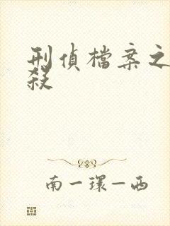 刑侦档案之血谜杀封面