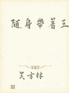 随身带着玉如意封面