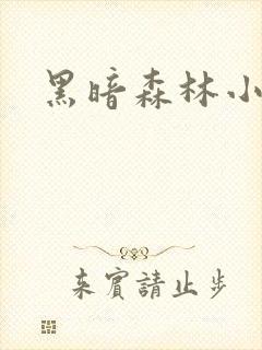 黑暗森林小说封面