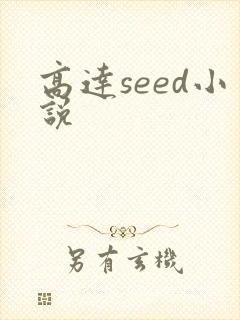 高达seed小说