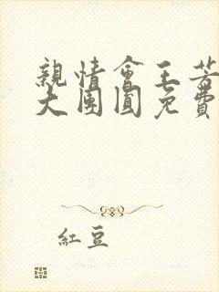 亲情会王芳高敏大团圆免费阅读