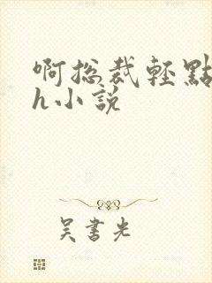 啊总裁轻点奶头h小说