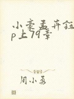 小豪孟卉钰慧三p上79章