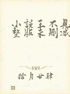 小说王不见王完整版未删减小说封面