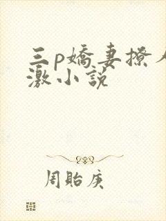 三p娇妻撩人刺激小说封面