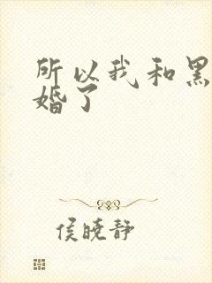 所以我和黑粉结婚了