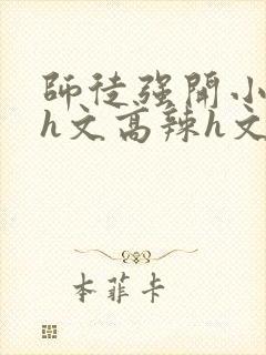 师徒强开小嫩苞h文高辣h文