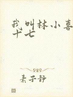 我叫林小喜今年十七封面