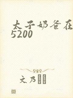 太子奶爸在花都5200