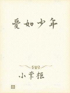 爱如少年