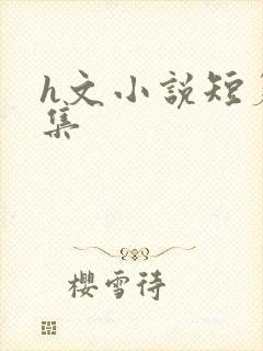 h文小说短篇合集