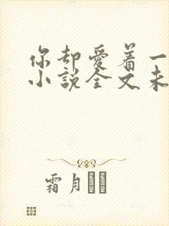 你却爱着一个他小说全文未删减免费封面