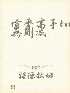 偷香高手txt无删减