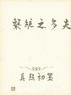 系统之多夫HP封面