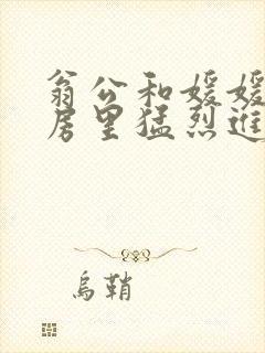 翁公和媛媛在厨房里猛烈进出