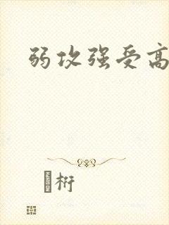 弱攻强受高h文封面