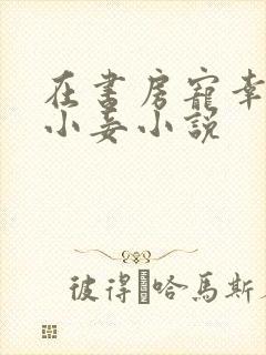 在书房宠幸夫人小妾小说封面