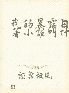 我的暴露日记原著小说叫什么