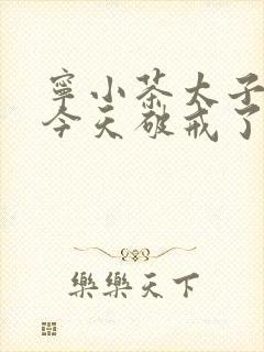 宁小茶太子殿下今天破戒了吗免费阅读