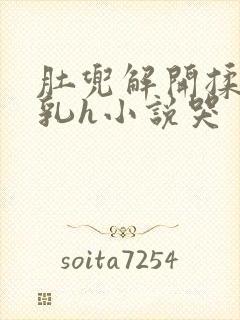 肚兜解开揉捏娇乳h小说哭