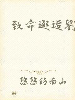 致命邂逅刘小寐