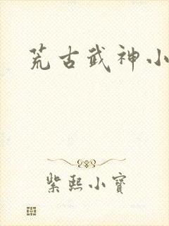 荒古武神小说