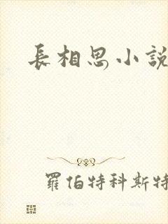 长相思小说原著