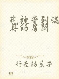 我被带到满是玩具的房间