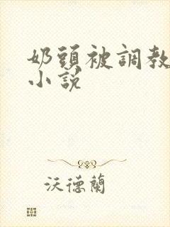 奶头被调教大的小说