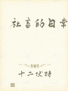 社畜的日常封面