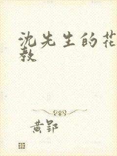 沈先生的花式调教