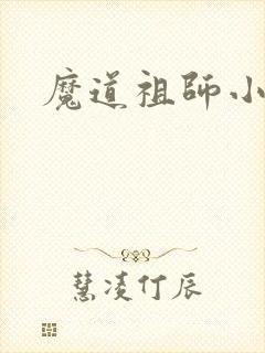 魔道祖师小说封面