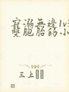 宠溺无边1v3双胞胎的小说