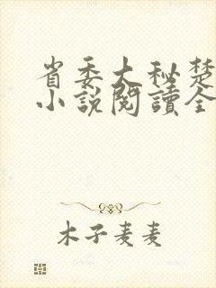 省委大秘楚东恒小说阅读全文