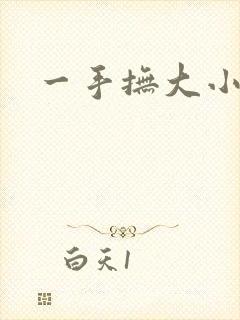 一手抚大小说