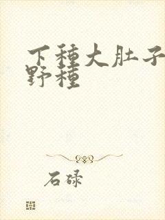 下种大肚子怀孕野种封面