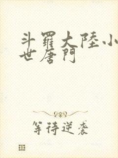 斗罗大陆小说绝世唐门