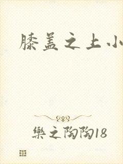 膝盖之上小说封面