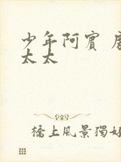 少年阿宾 房东太太