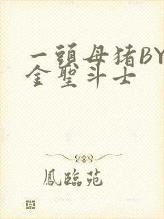 一头母猪BY黄金圣斗士封面