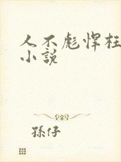 人不彪悍枉少年小说封面