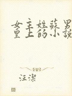 女主姓苏男主是皇上的小说