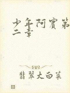 少年阿宾第四十二章