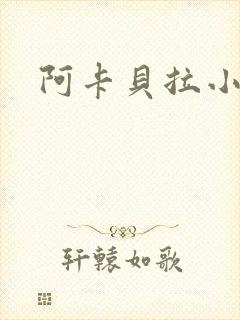 阿卡贝拉小说封面